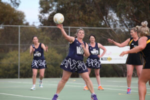 Cats search for new homes