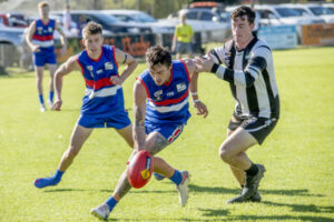 Start to finish win for Dogs