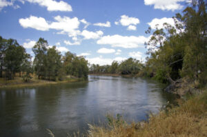 Infrastructure on the way for Murrumbidgee Irrigators