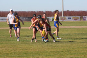 Tigers hunting Huntly