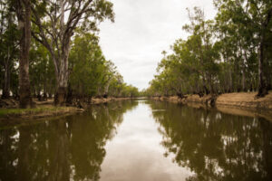 Footy-Netball Club fishing comp