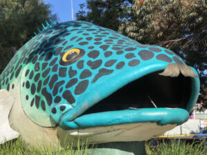 Rash of ‘tashs across town