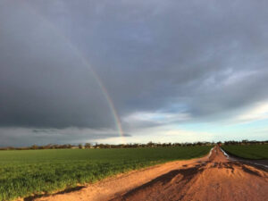 VIEWPOINT: Country Living