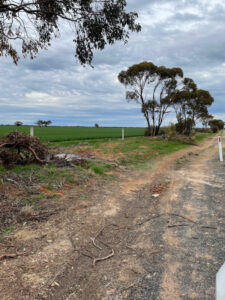 Letters to the Editor September 3