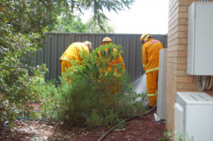 Fire renews CFA safety message