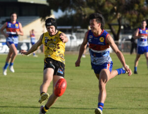 Tigers tame gritty Bulldogs