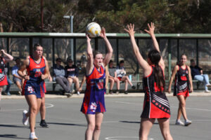 Improvers put to the test