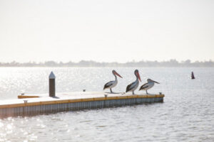Lake Boga’s algae outbreak