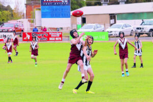 Swans’ numbers games