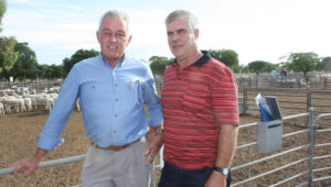 Enthusiastic endorsement