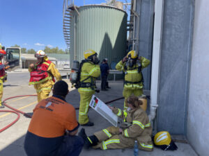 Heat cooks meat hopper