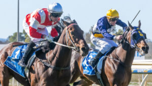 Brassi on winning road