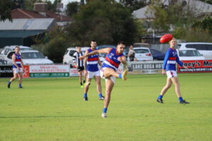 Tyntynder, Lake Boga in a fight for survival