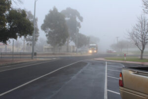 Foggy start to chilly day