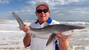 Surf’s up for a cool change