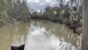 Historic, beautiful, serene Moulamein Wharf