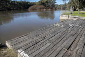 Murray River on the rise