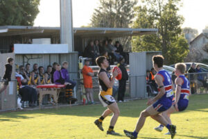 Tigers get the job done