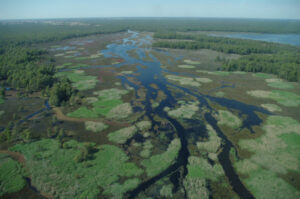 Report’s buyback findings criticised