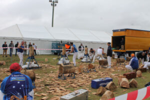 Roll up, roll up, for the show