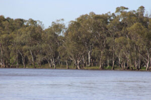 Water juggle tip in dry weather