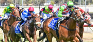 Marine One and Harry victory