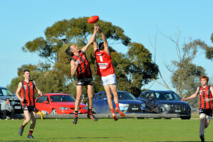 Swans keep season alive