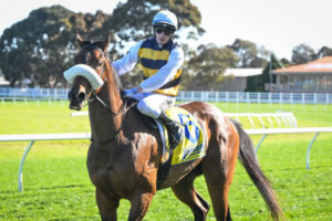 LIghts, camera, Coffey