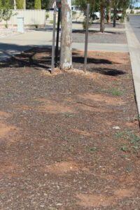 Council turfs nature strip plans