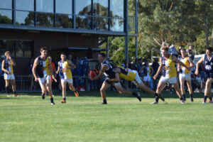 Classy Blues too good for Mallee Eagles