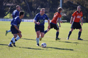 Swans look to seal Division 2 premiership