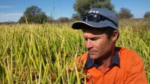 Sowing a secure future