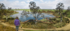 Showcase natural feature with wetland precinct at Wycheproof