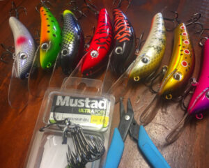 Cod opening on the way