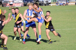 Tigers end Roos’ winning run