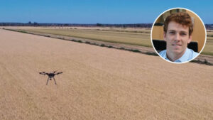 Mountain of data to predict rice harvest yield