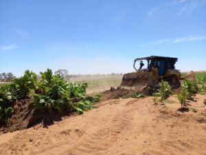 BREAKING NEWS: $84.3 million in illegal tobacco seized along the NSW and VIC border in a two-day blitz