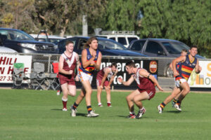 Swans dominate Raiders