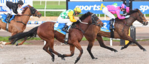 Harry conjures a double