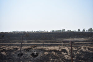 Fast-moving fire sparks chaos