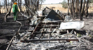 Deliberately lit: Temperatures soar as suspicious fire on Pental Island destroys caravan