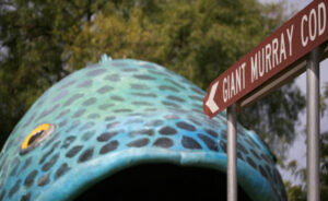 Swan Hill Inc blasts the state government over regional roadmap brush