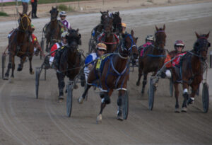 Double trouble at Swan Hill Trots