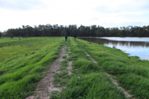 Catchment org looks to renew levees