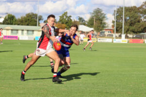 Tyntynder give Saints a Dog day