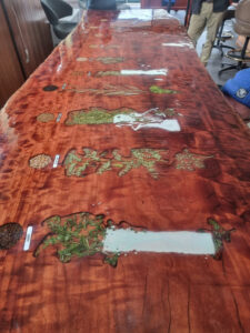 Crops of region featured in unique table