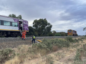 Mayor backs train services