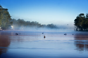 Benham defends Victoria’s role in Basin Plan