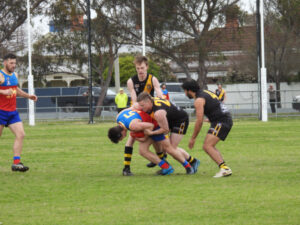 Lions sweep past Tigers