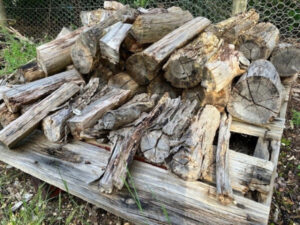 Firewood shortage looms